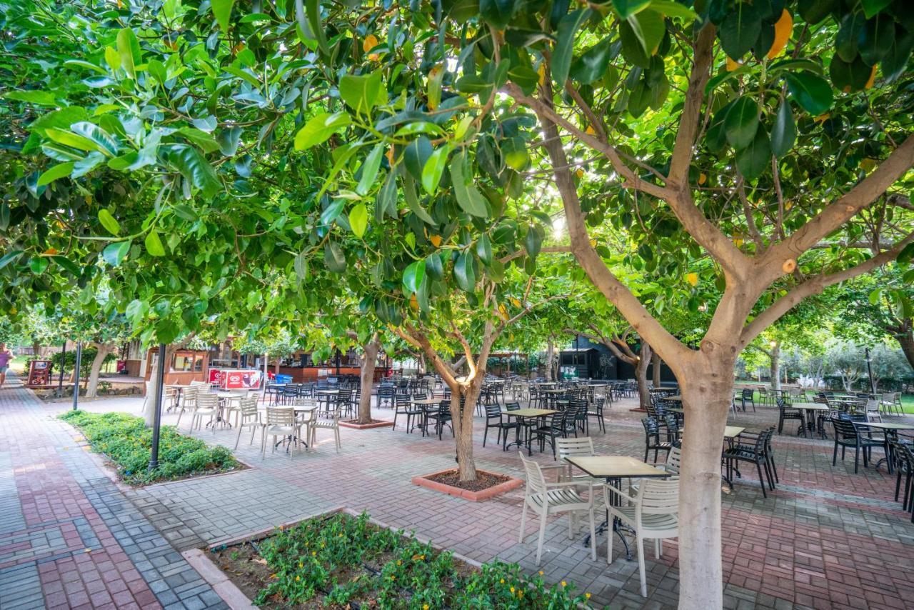 Gardenia Beach Hotel Alanya Zewnętrze zdjęcie
